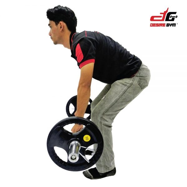 GYM & Fitness - Olympic Barbell