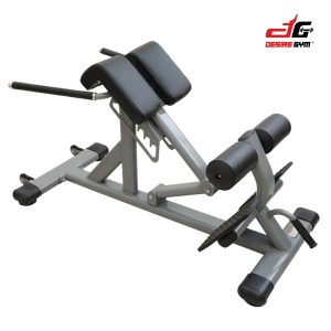 Hyperextension Bench (s)