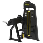2 in 1 Bicep & Tricep Extension