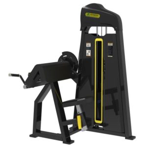 2 in 1 Bicep & Tricep Extension