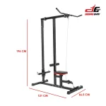 FW Lat Pull & Rowing 4