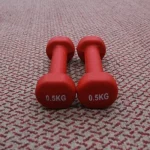 Neoprene Dumbbell (Demo Set) 0.5KG
