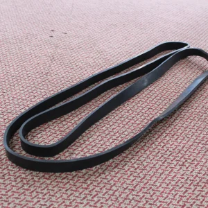 Resistance Band (Demo Set)