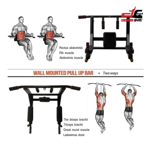 Wall Mounted 2 in 1 5