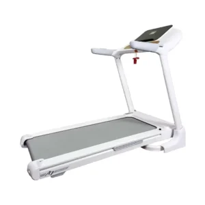 Big Fitness Treadmill