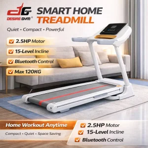Big Fitness Treadmill