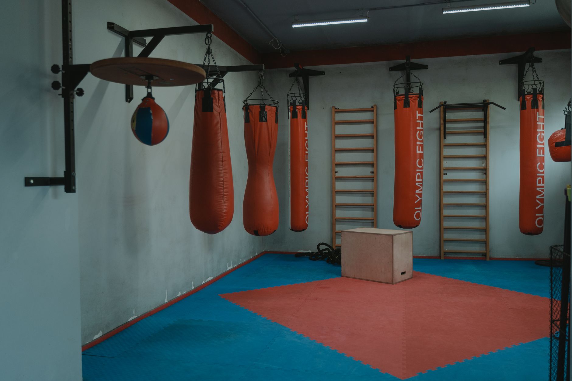 gym equipment zone layout gym equipment zone layout