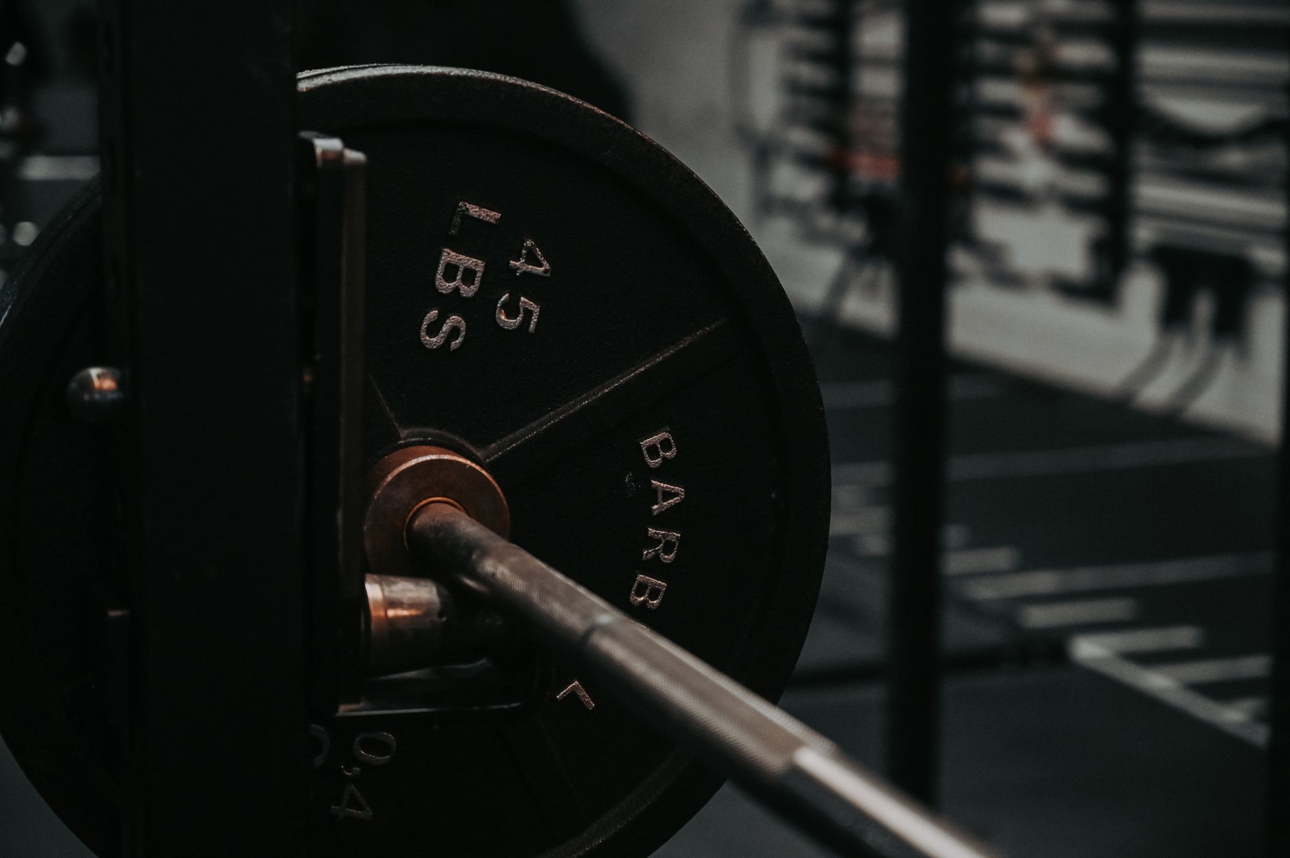 plate-loaded vs selectorized gym equipment